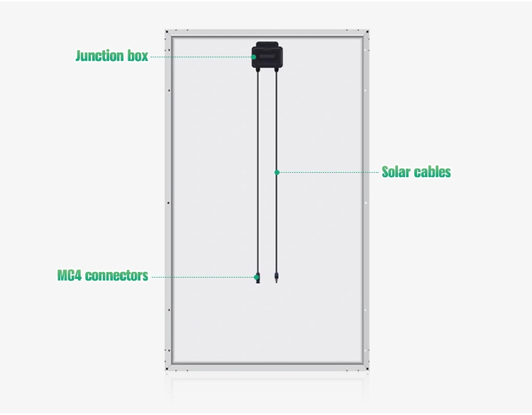Mono Solar Panel (2)